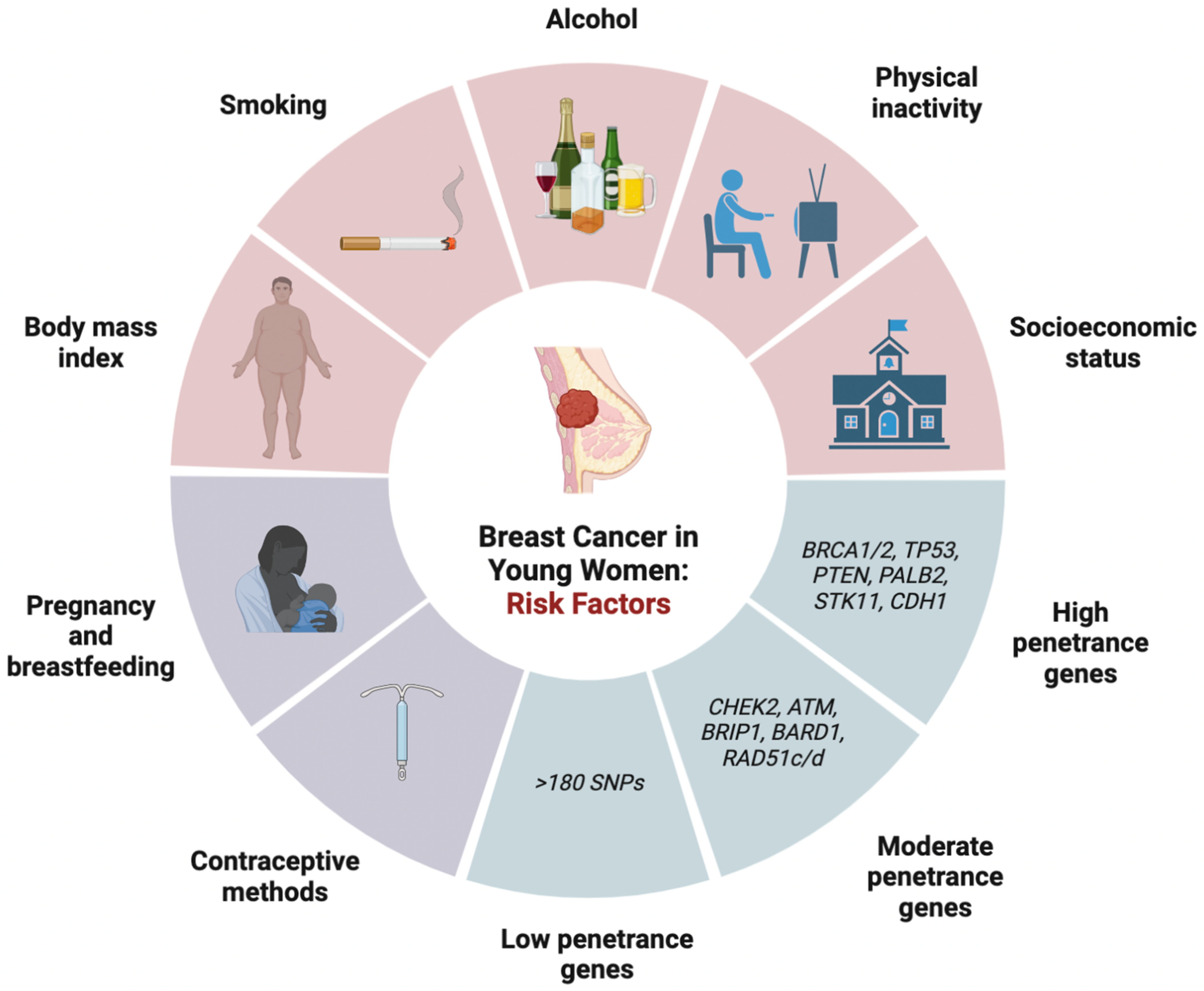 Does Breast Sucking Reduce the Risk of Breast Cancer? A Scientific Examination of the Claim image
